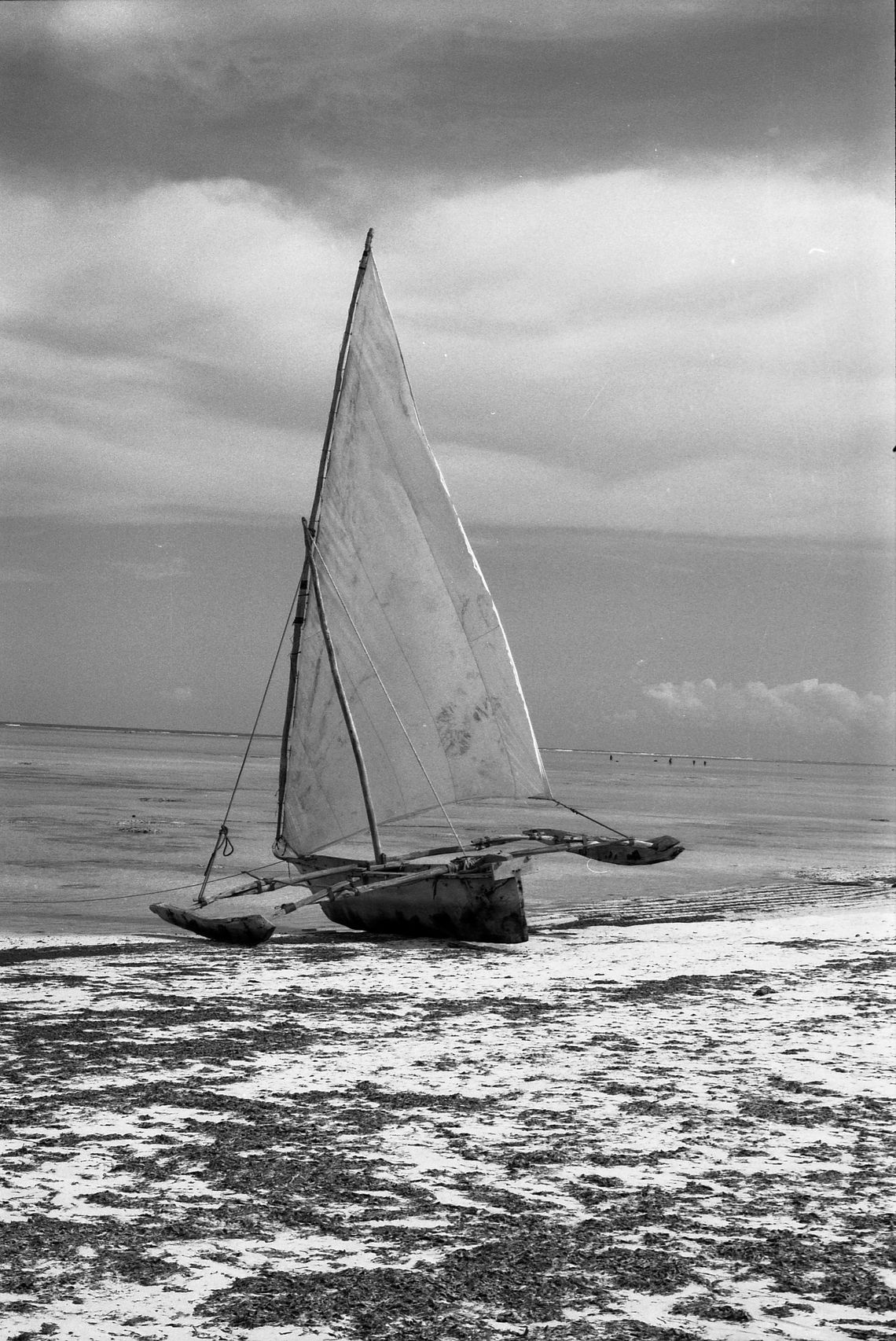Zanzibar - Analog B&W